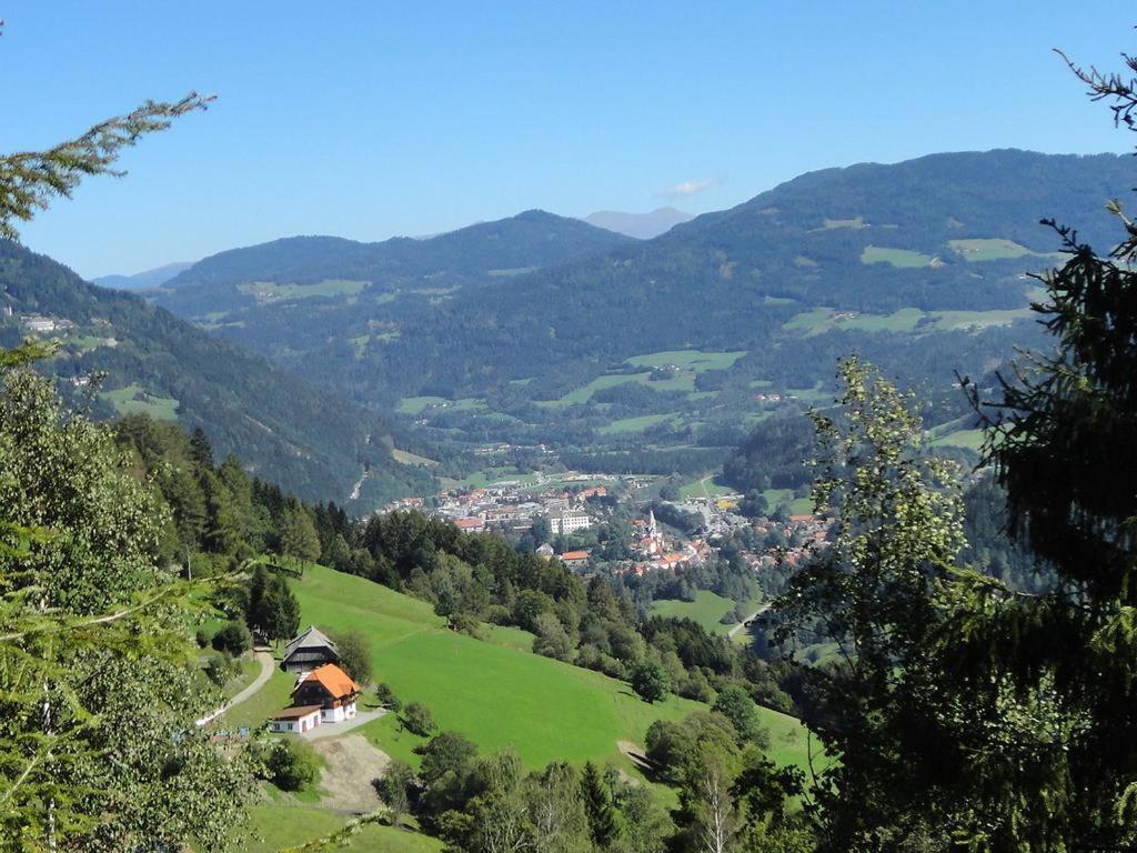 Die Petzl Huette - Kreischbergblick Kaindorf  Eksteriør billede